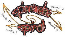 Spinnoff Spiral